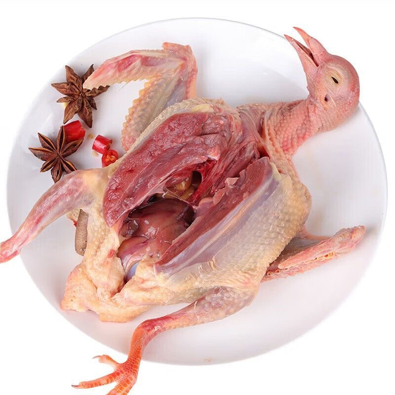 【更大更老】土鸽子5只放养土鸽子6-7两/只 鸽子肉炖汤肉质鲜嫩鸽子