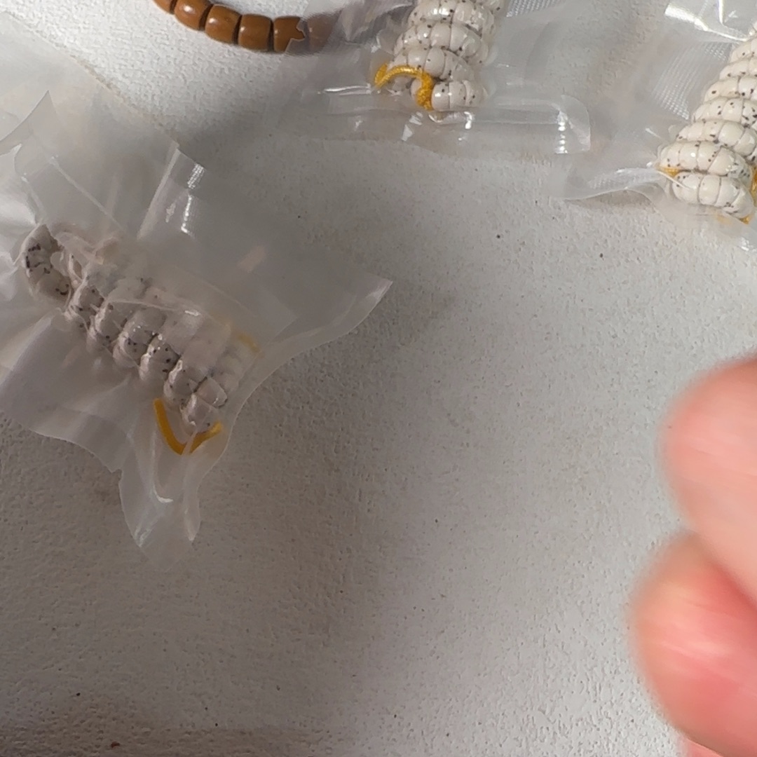 机***晨金刚菩提吊坠79号如图