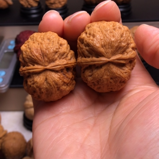 文玩核桃把件虎头石门墩40