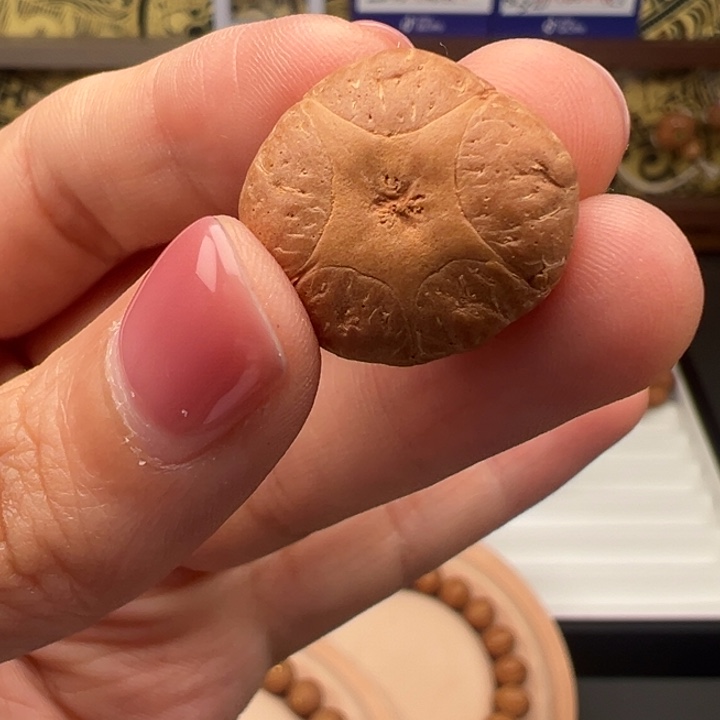 凤眼菩提吊坠五星单颗