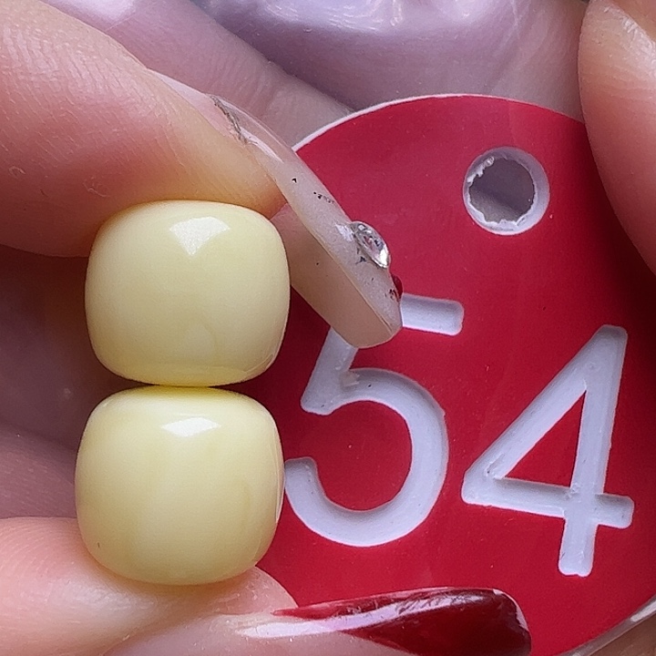 蜜蜡未镶嵌珠宝奇石10mm白蜡老型