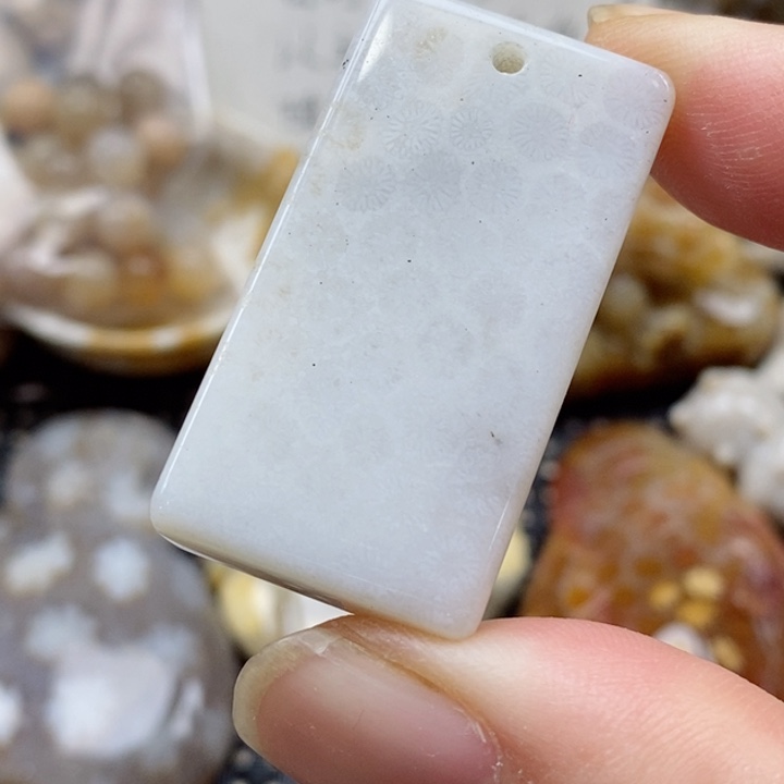 硅化珊瑚（珊瑚玉）颈饰未镶嵌