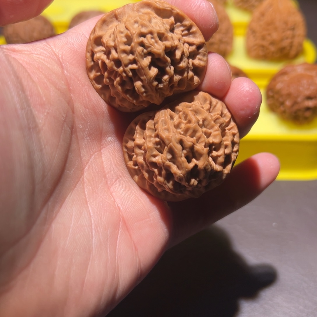 核桃39全品红皮秦闷