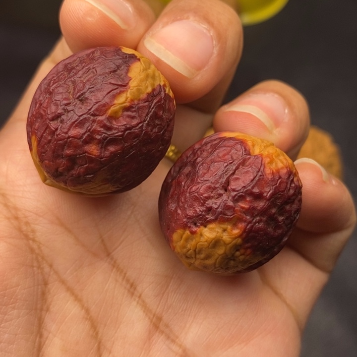 吊坠文玩核桃29尺鸽子蛋