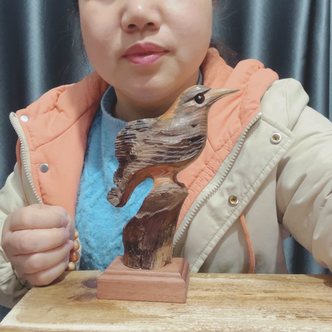 耀**屋百年树的生长环境