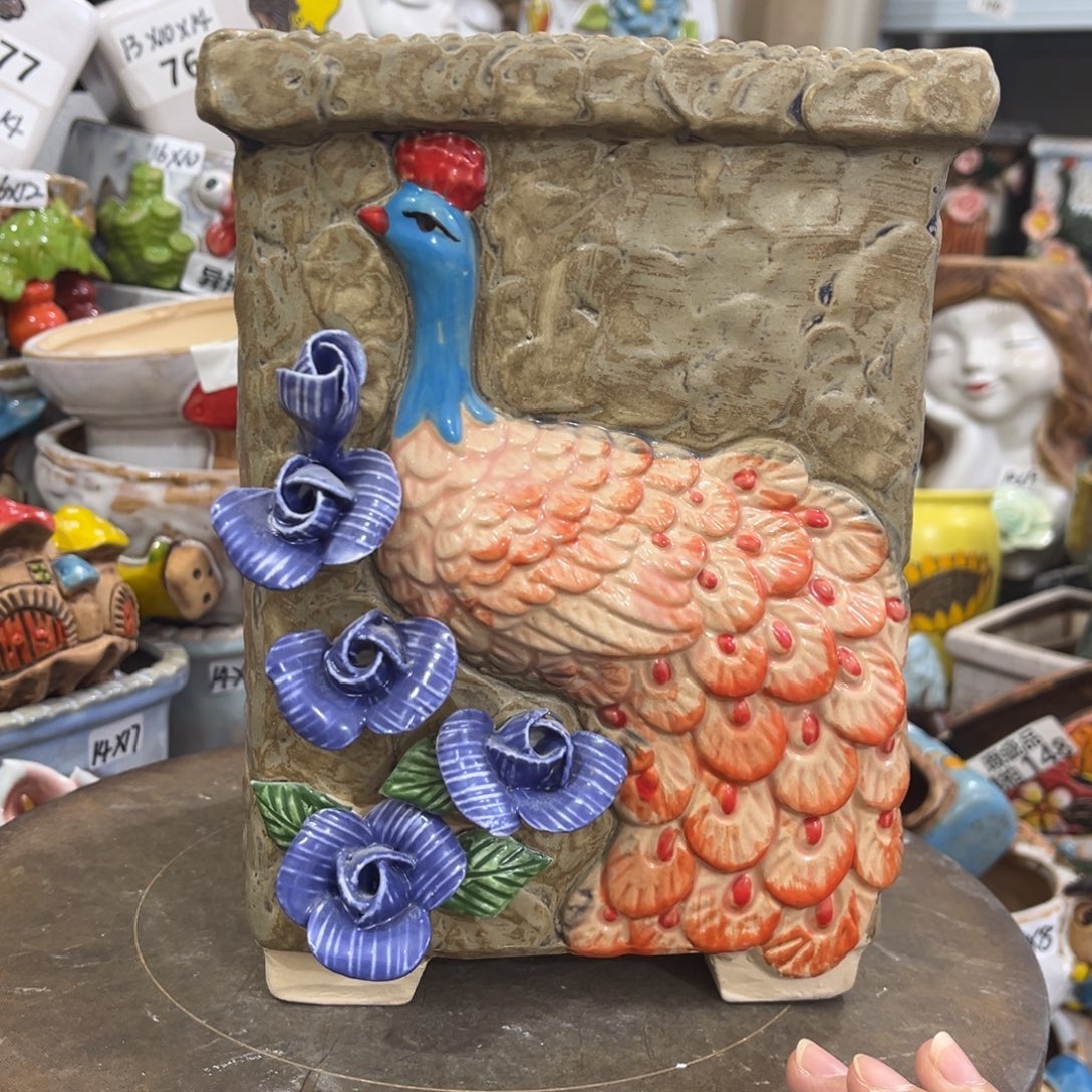 凑满15包邮发货发货