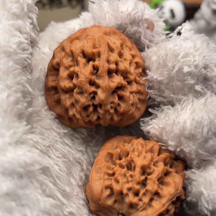 木****核桃37尺秦闷福利对