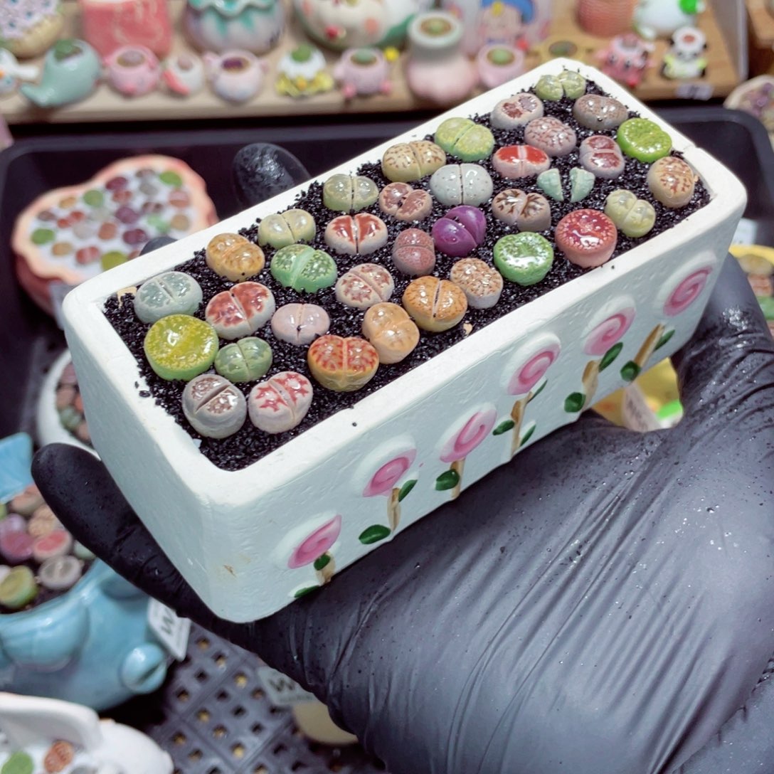 夜间零下地区拍保温箱w6107