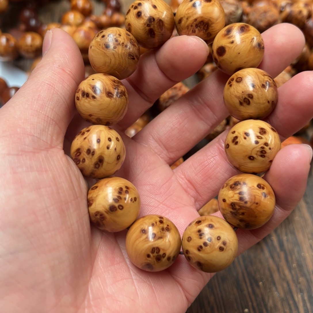 太行崖柏陈化太行