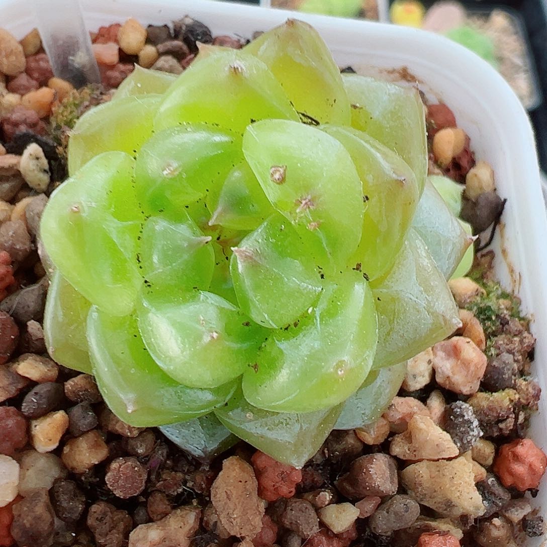 613哈哈哈哈哈哈哈哈