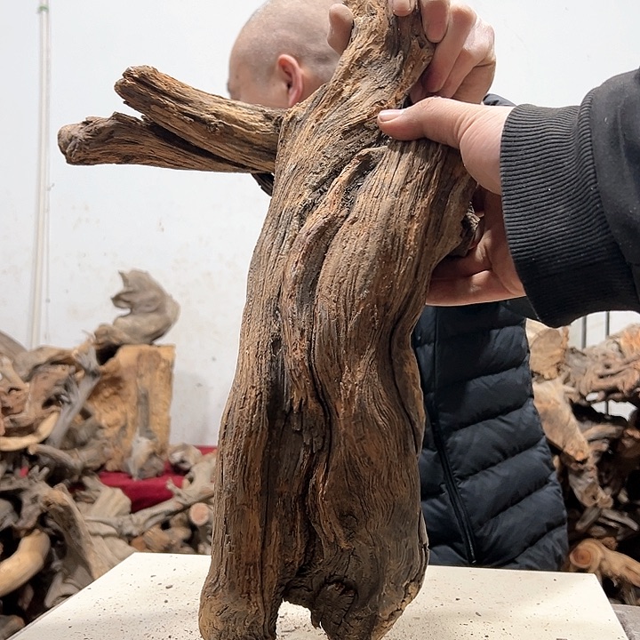 柏木小*我们的生活也是如此