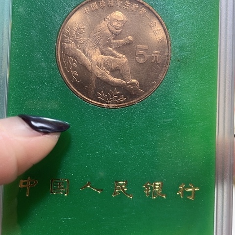 其他普通金属金丝hou人行福利 