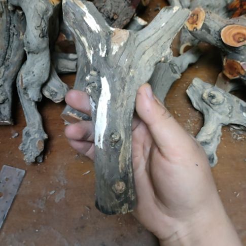 大***了大果紫檀（缅甸花梨）