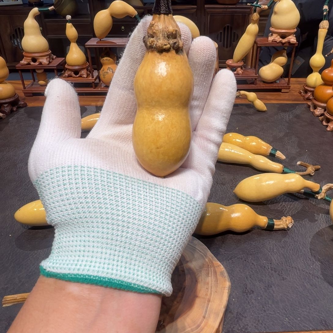 粲**笑重返校园的时候