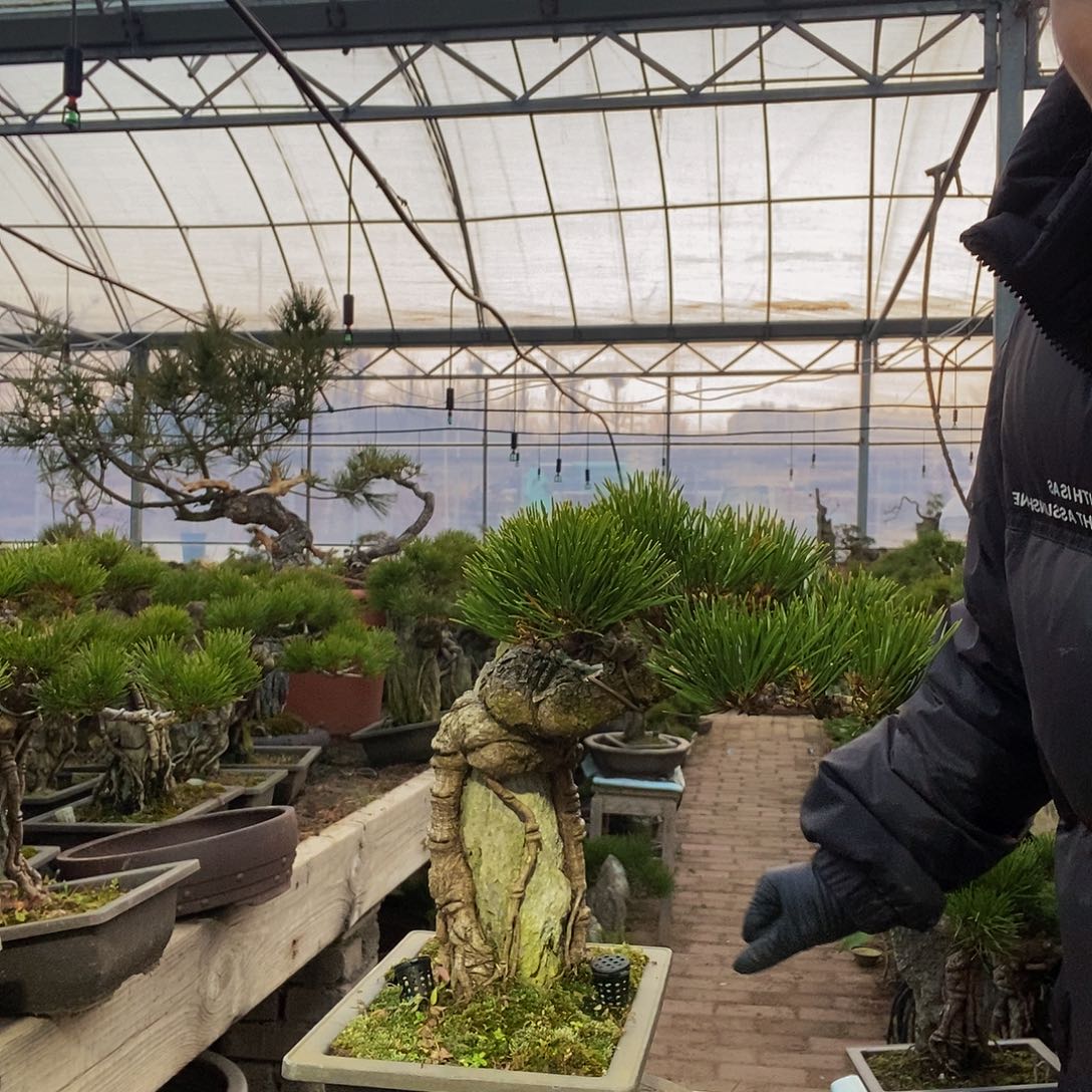 无花朵D****德三河还是8888888