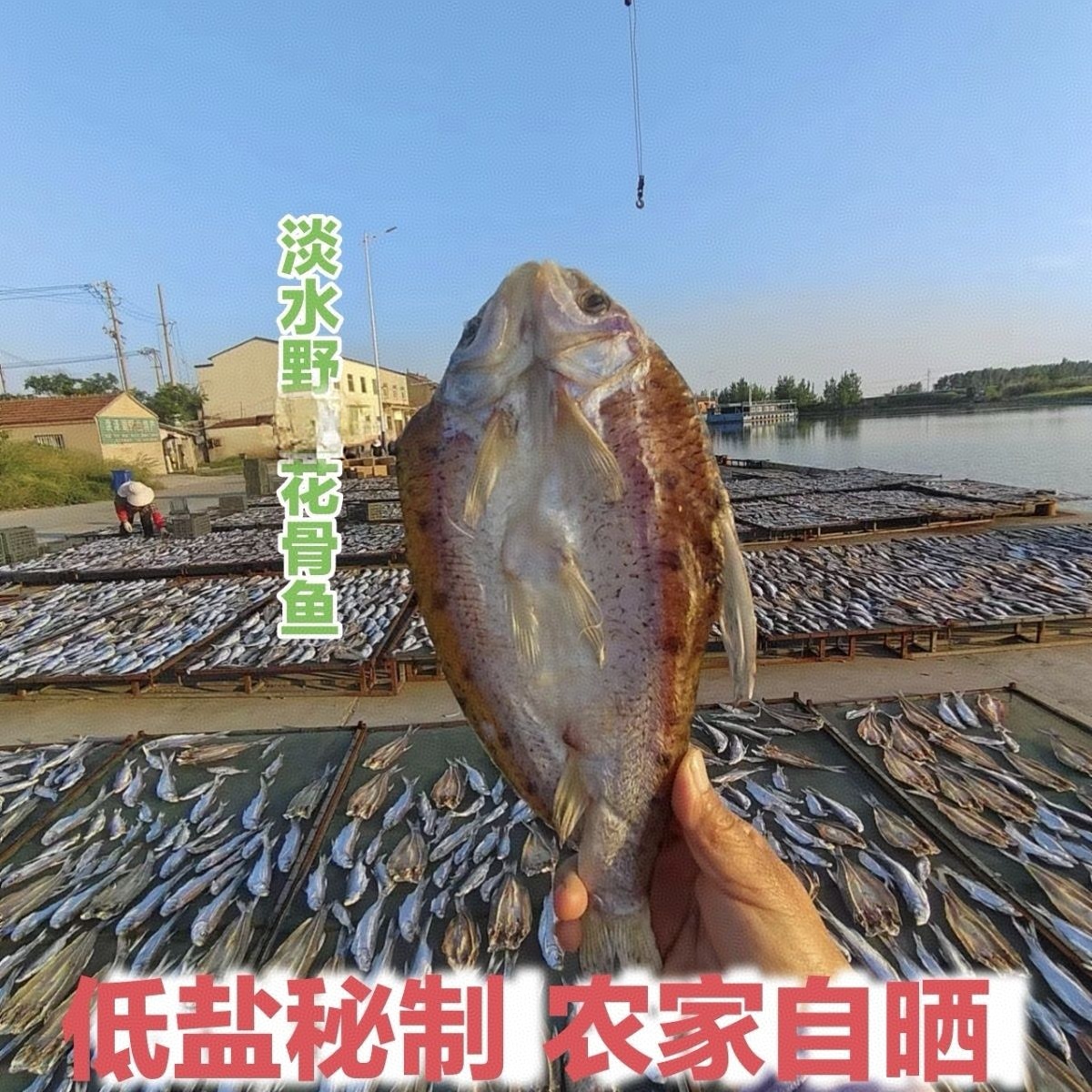 江苏龙集镇特产马鲫鱼干花骨鱼干激浪鱼低盐秘制6-7成干