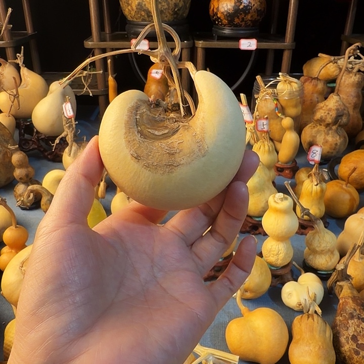 X***x厚皮腰子等多种款式搭配