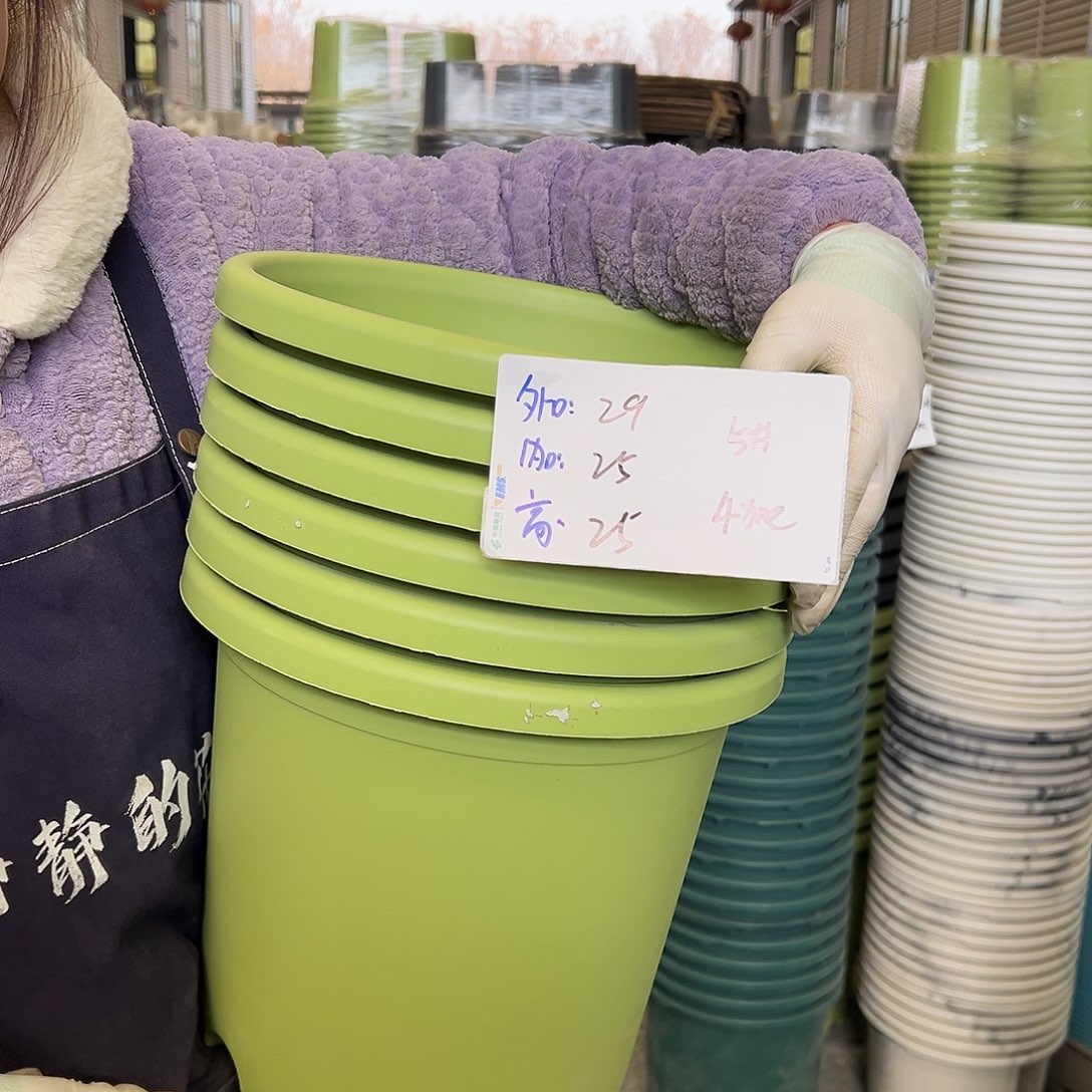 四季盆5#果绿6个无托