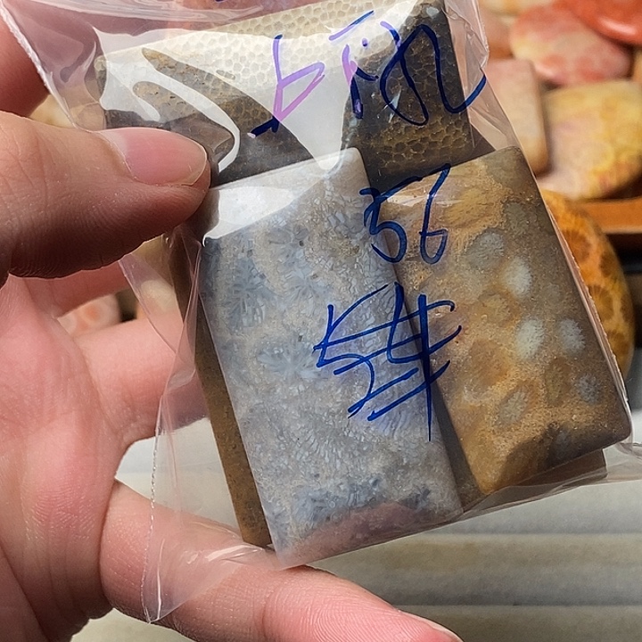 杰***哥硅化珊瑚未镶嵌颈饰