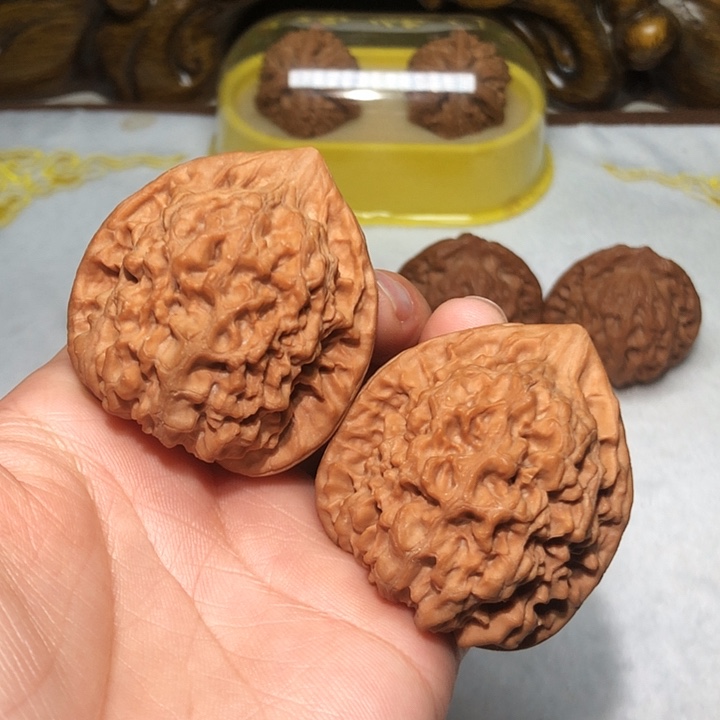 文玩核桃43尺官帽