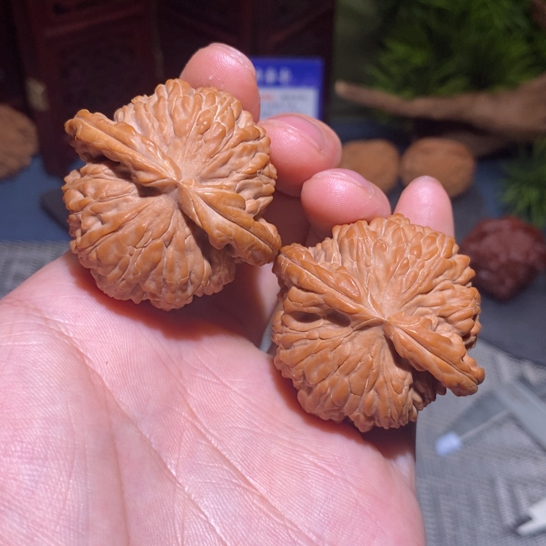 44尺 全品无修白茬 25头茬 球白