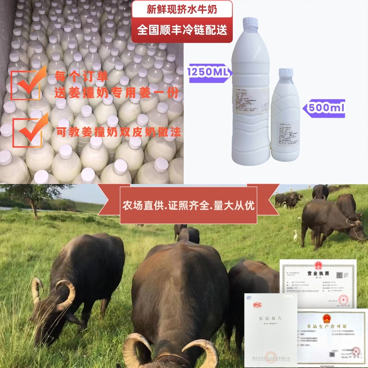 顺德水牛奶新鲜5斤浓郁原料营养补钙制作双皮奶姜撞奶现挤水牛奶