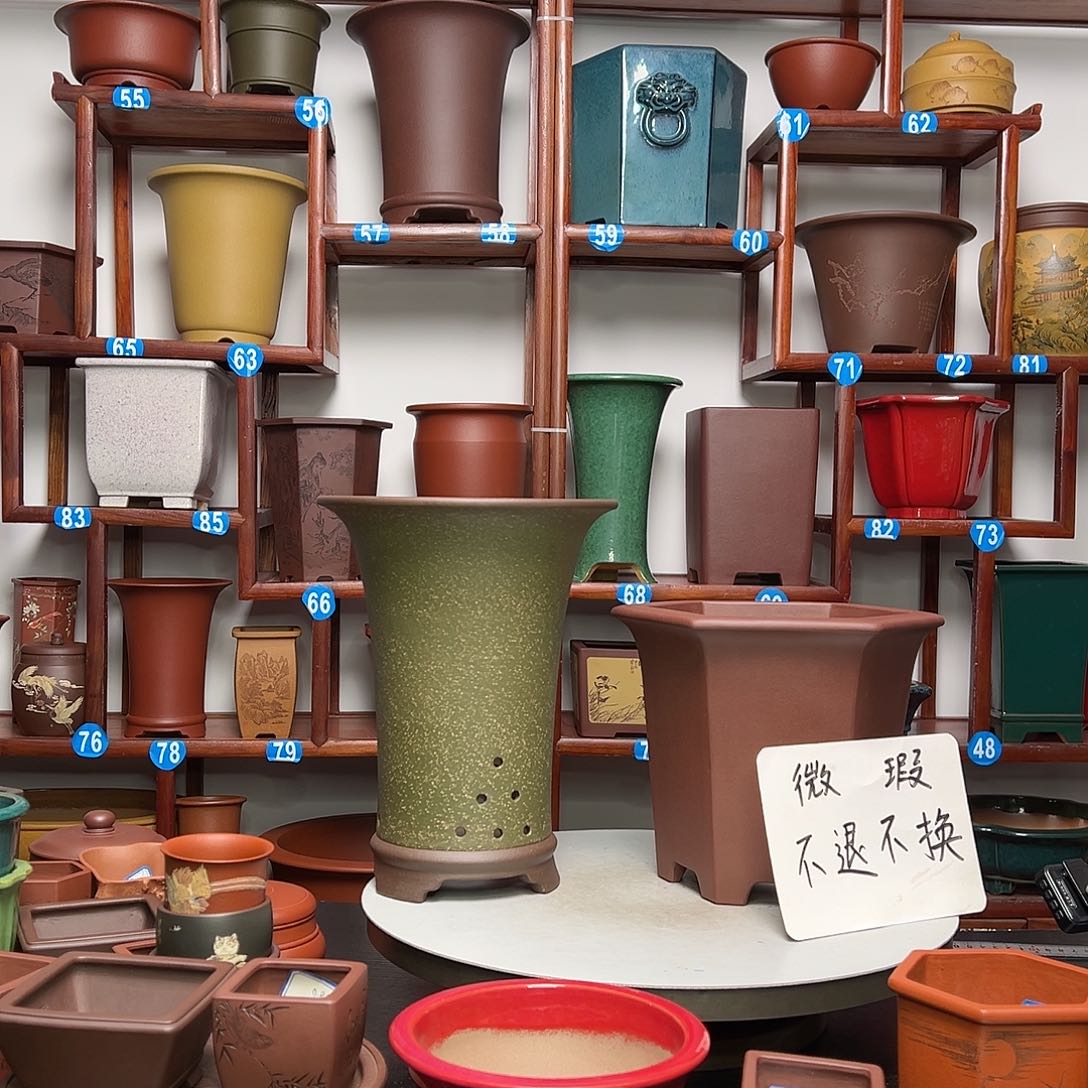 紫砂花盆咚*咚紫砂花盆