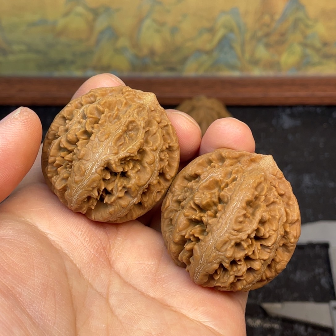 核桃7号链接777777