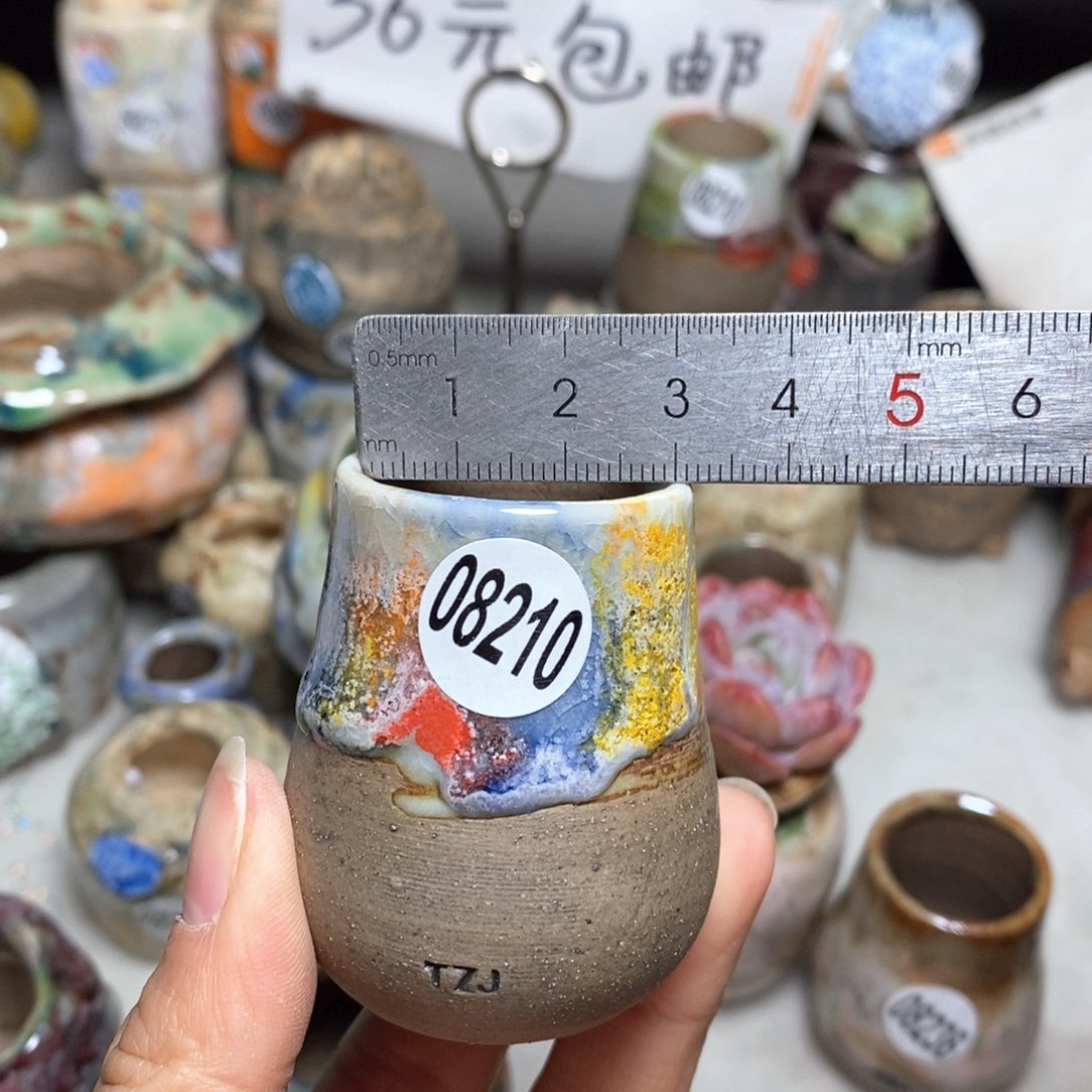 花盆拍5送一个小礼物