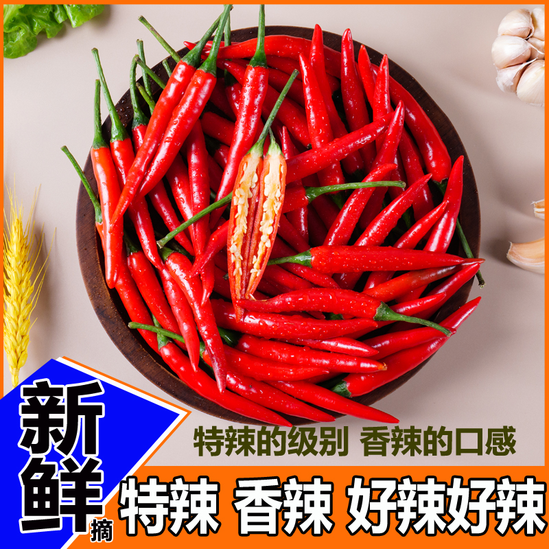 高山新鲜采摘特辣小米椒餐饮火锅蔬菜批发红辣椒朝天椒泡椒剁辣椒