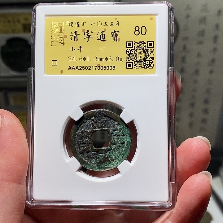 铜瀚海文物A清宁通宝5008