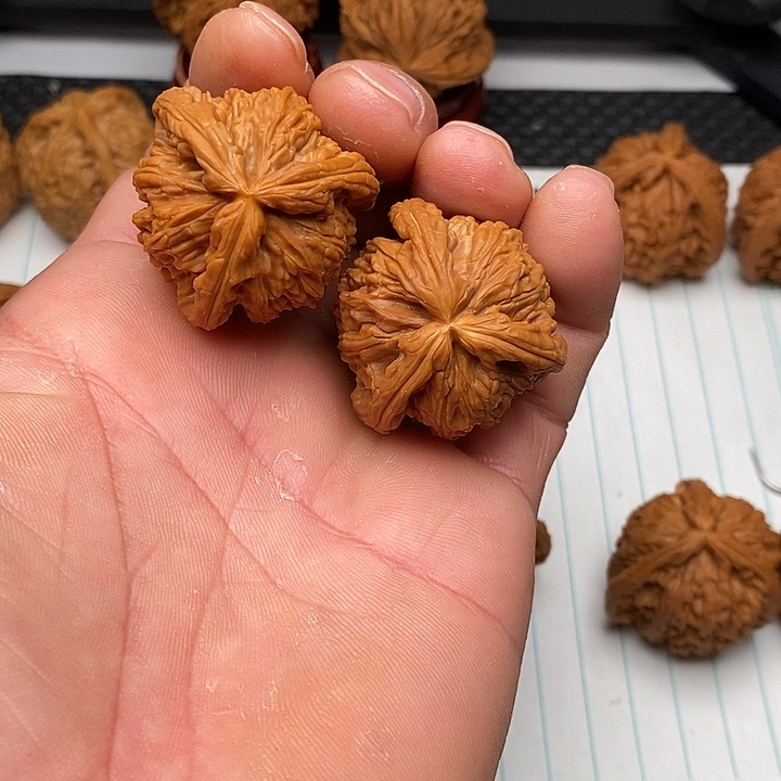手串/手链核桃白狮子1