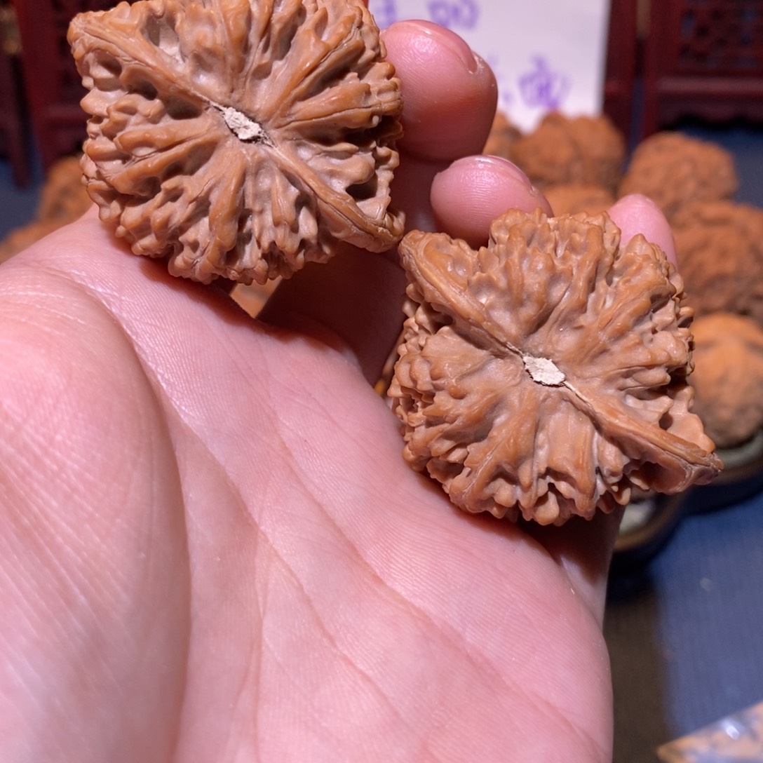 46尺 全品白茬 满天星