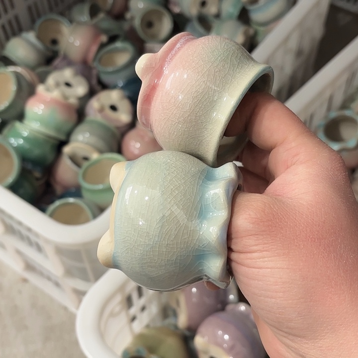 红陶发6个，非完美，介意慎拍。