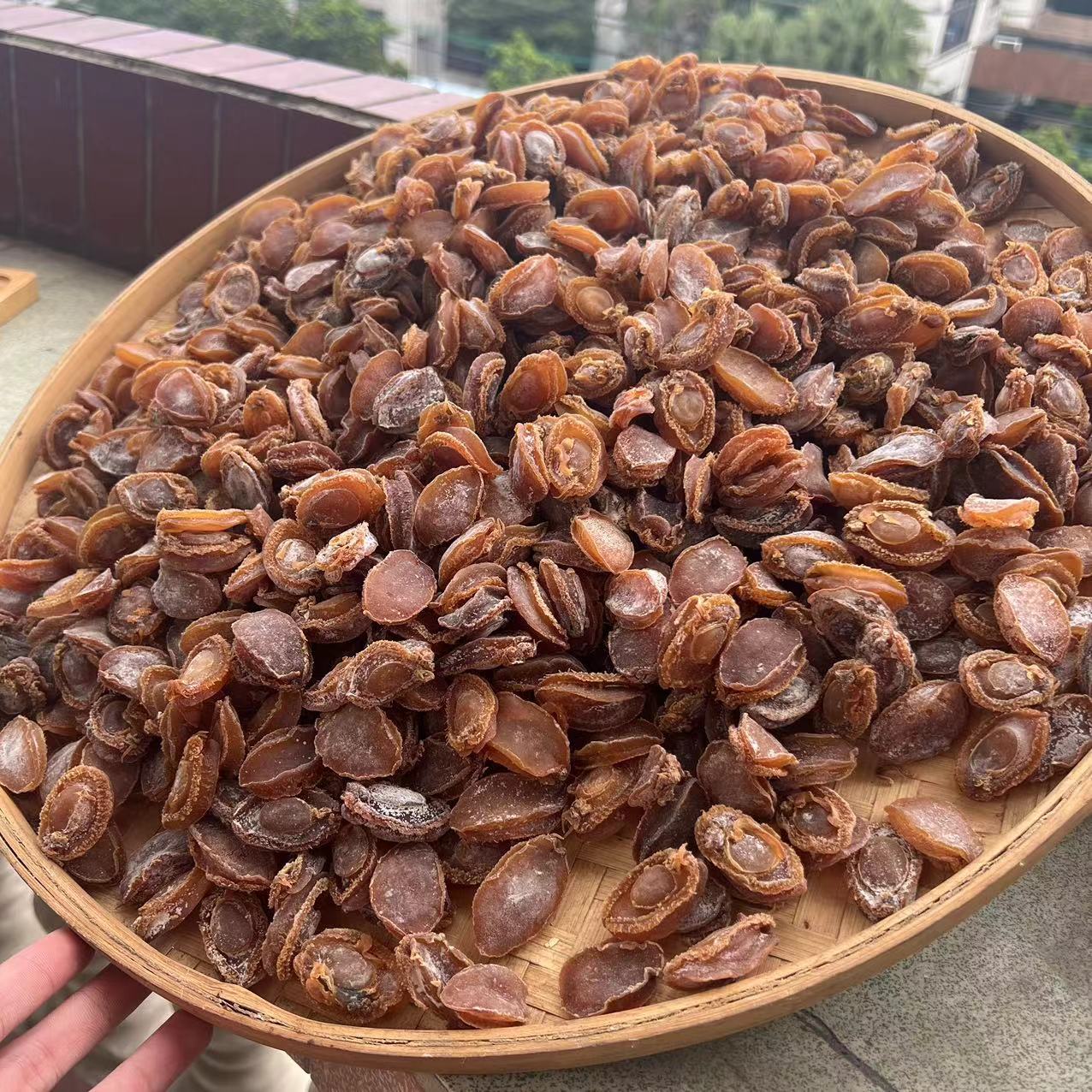 【60头溏心鲍鱼干】海味老货肉厚淡晒干海鲜干货佛跳墙中秋送礼花胶