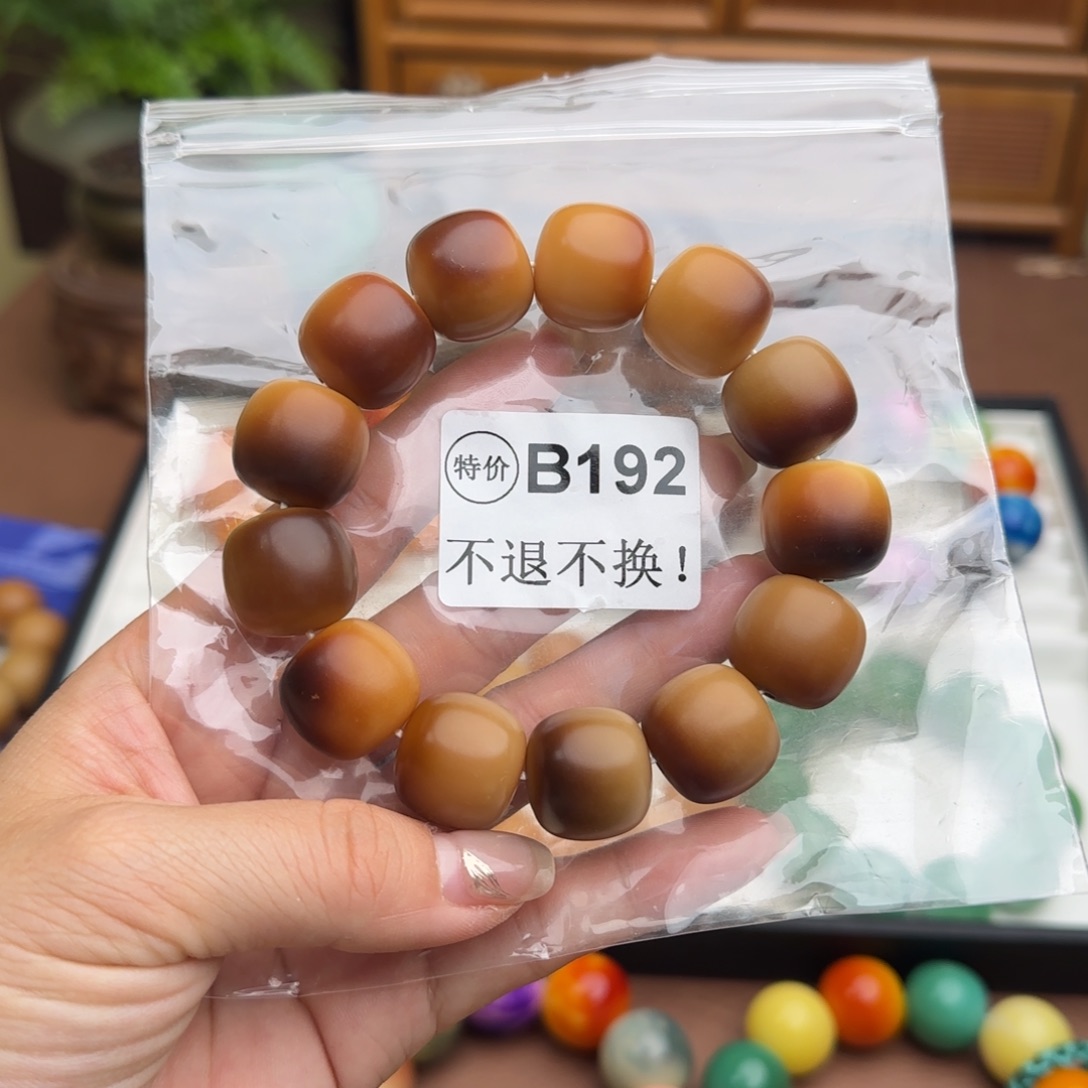 手串菩提根/象牙果B192中瑕