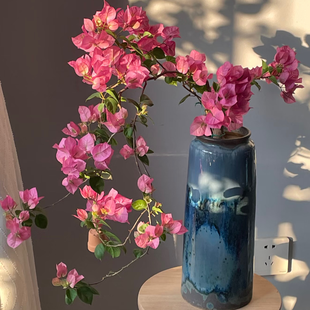 红粉佳人三角梅绿植盆栽四季勤花