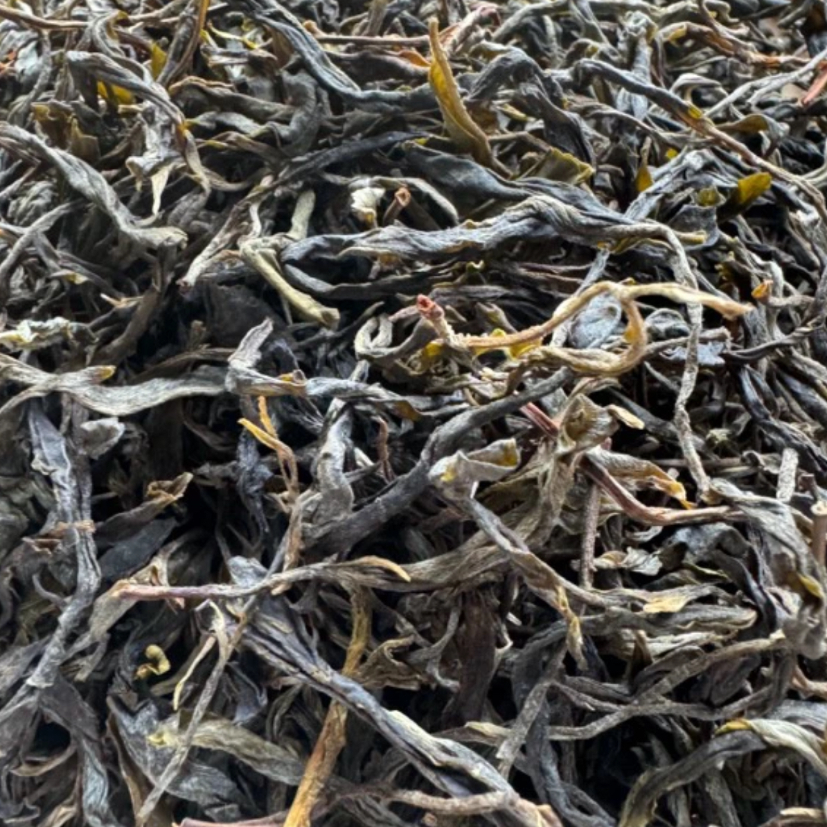 （7号茶农12月8日）2025年 小荒田古树（秋）散料普洱生茶500g/份