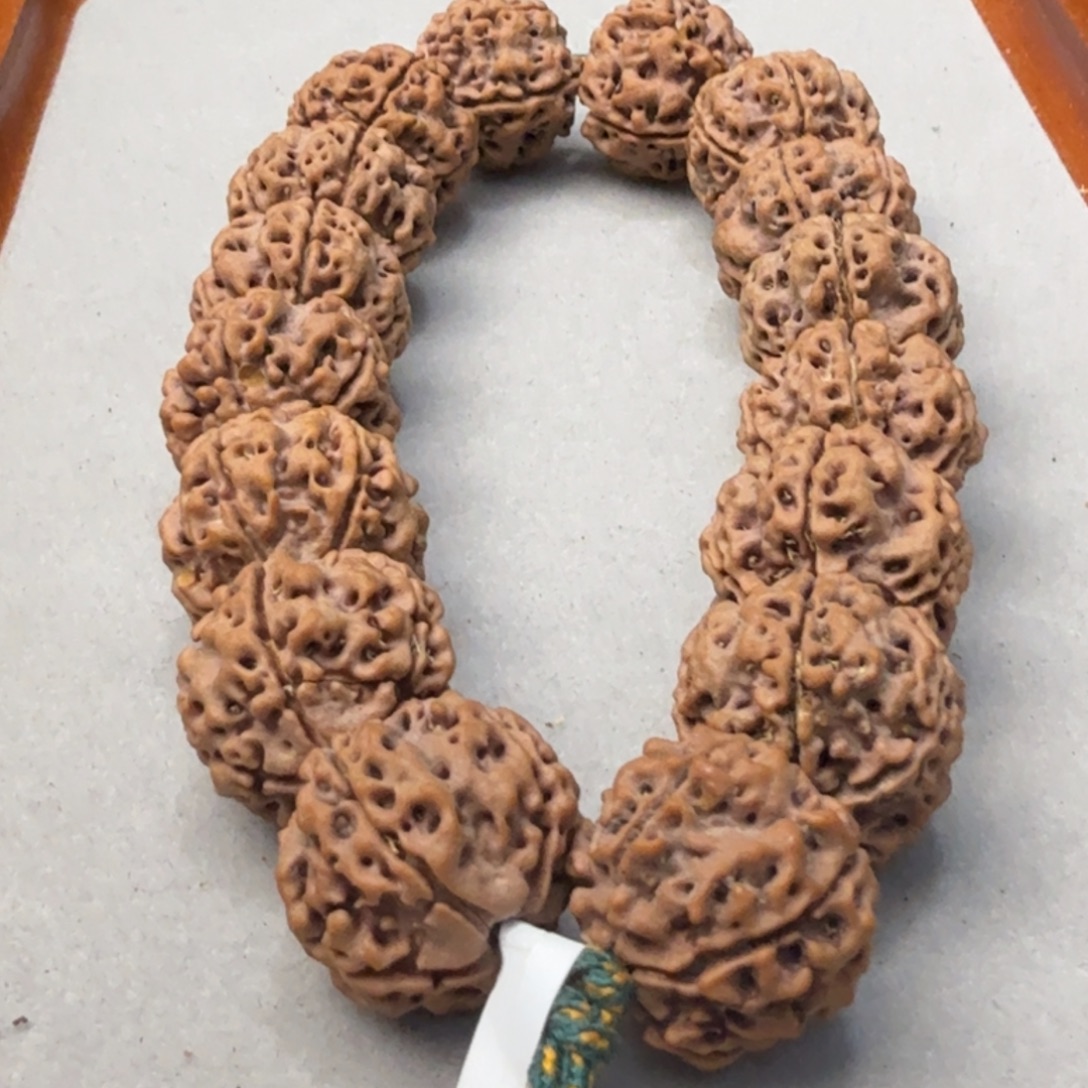 吊坠金刚菩提蜂窝双龙铁籽黄皮满蜂窝老籽