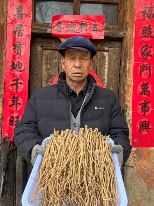 甘肃岷县原产地党参 小条 中条 批发福利价