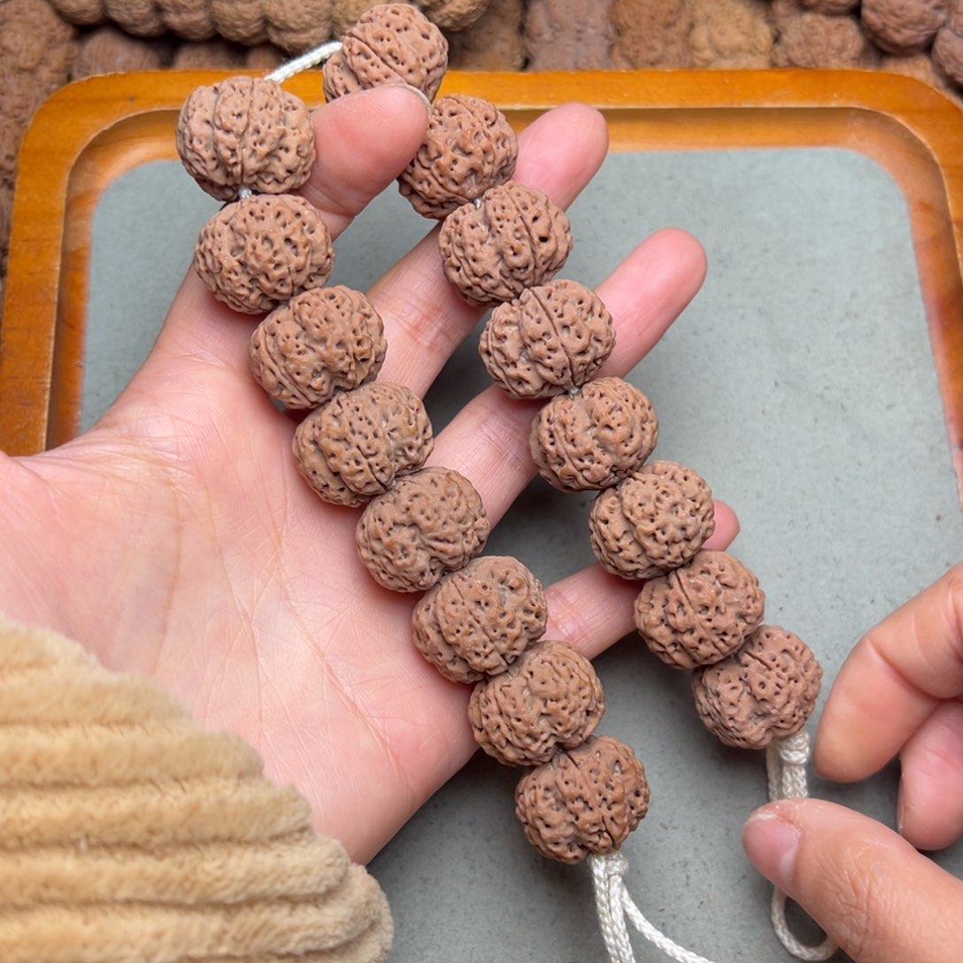 ꧁***꧂菩提6号金刚菩提梁龙骨梅花22