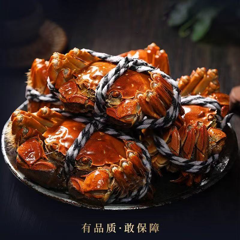 【活蟹】现捕现捞大闸蟹公4.5-4.2两母3.5-3.2两共6-10只