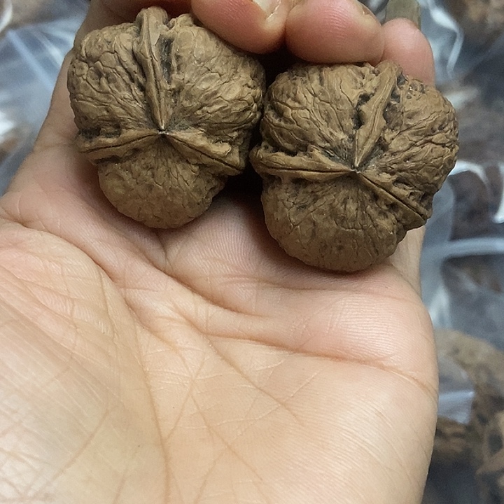 把件文玩核桃云南铁核桃基地1