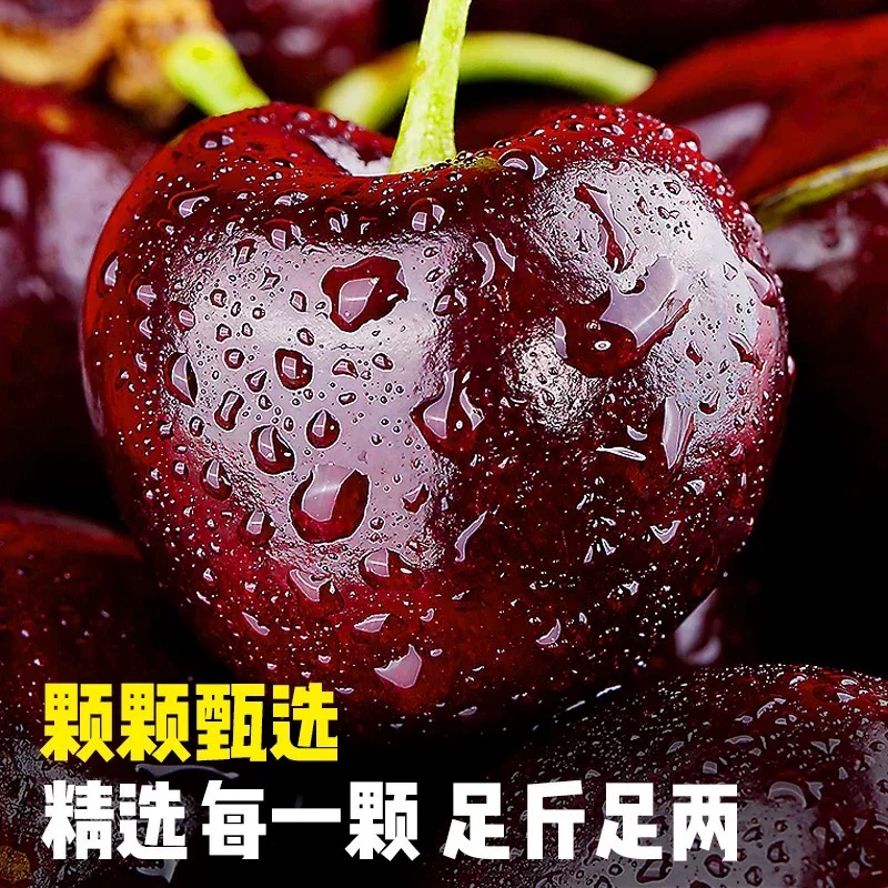XX【顺丰次日达】智利进口车厘子桑提娜原箱5斤新鲜水果脆甜可口空运发货3JD内附果径卡桑提娜樱桃智利共和国