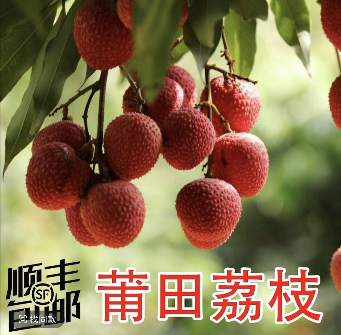 莆田状元红荔枝顺丰包邮