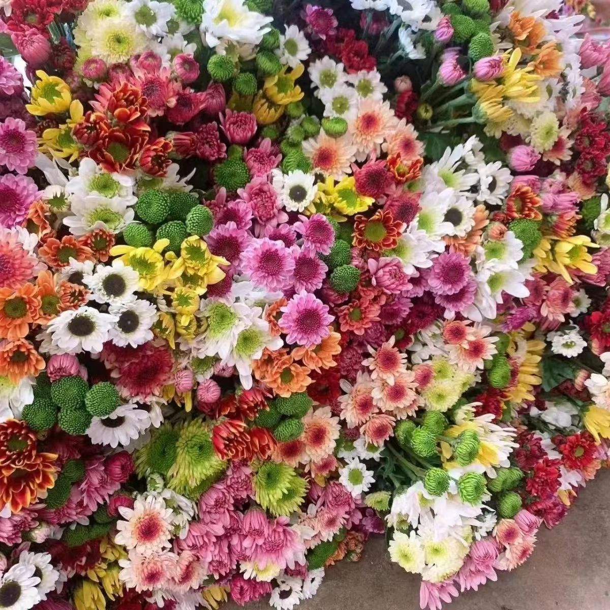 新鲜采摘七彩混色小雏菊家用室内客厅水培花束