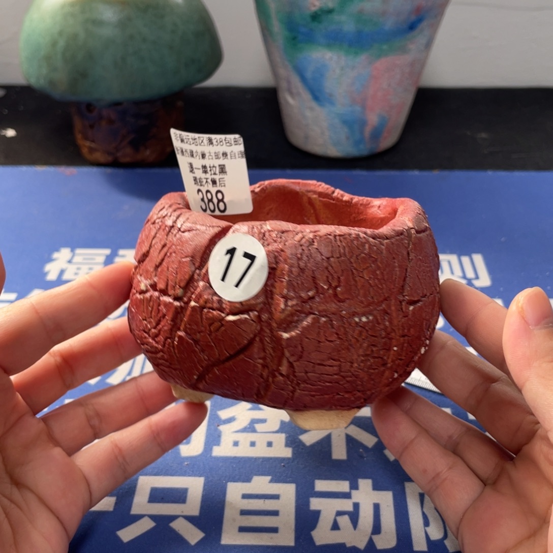 特价微瑕不退不换388