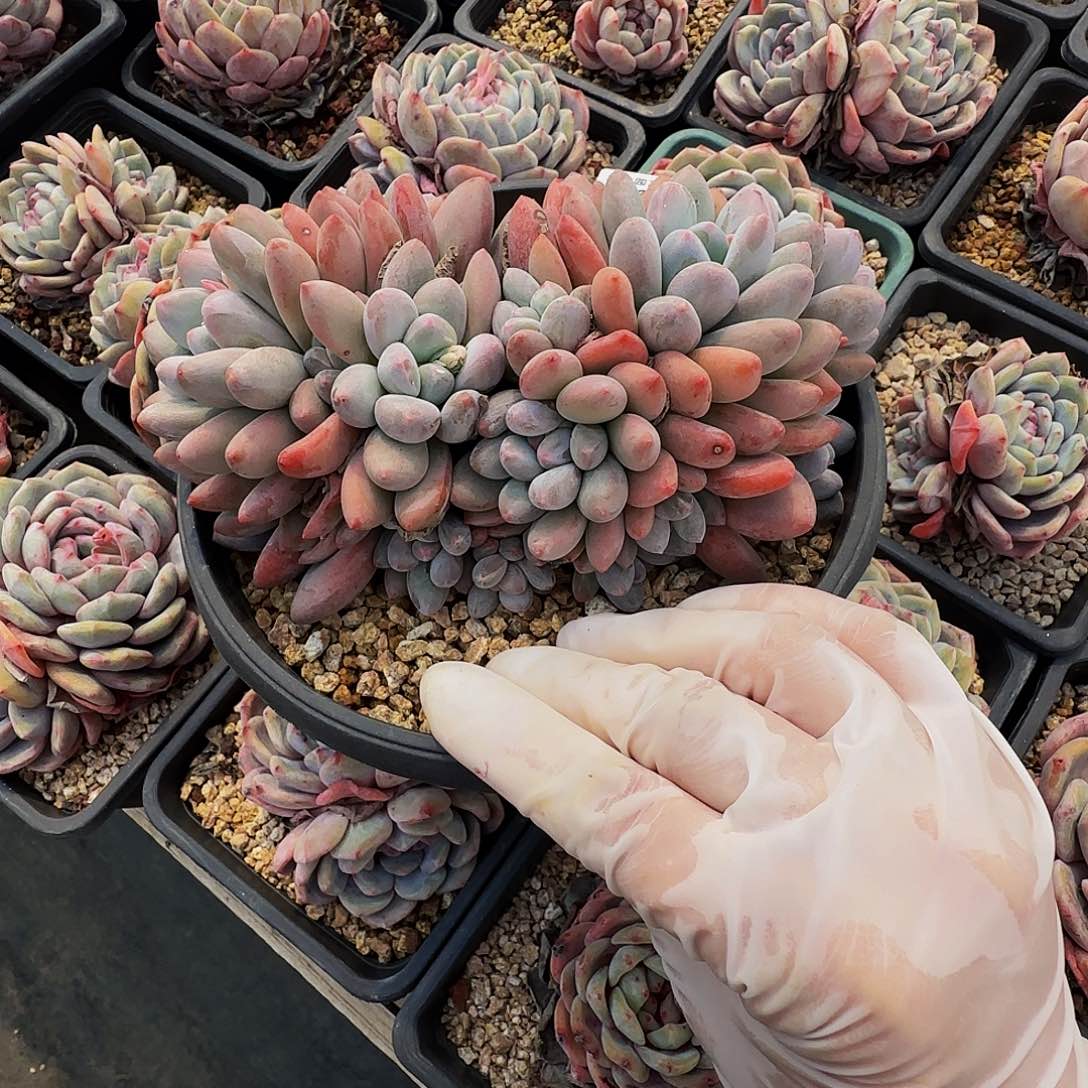 n n n n n n n n n 39