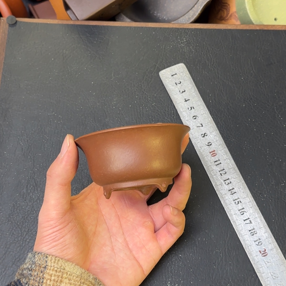 泥塑vvvvvvvvvvvvv7+3.5