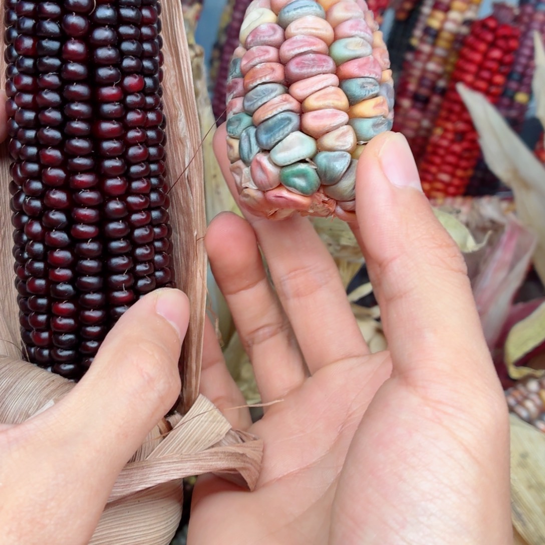 一***白白玉菩提吊坠文玩精品文玩精品